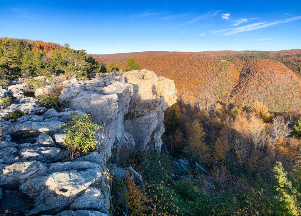 A beautiful landscape.