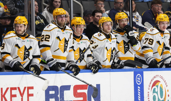 A row of hockey players.