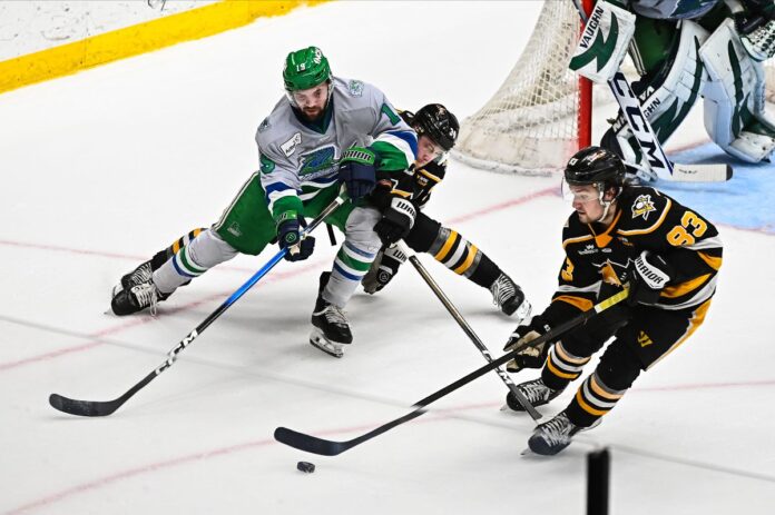 A hockey game.
