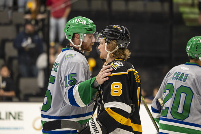 Two hockey players.