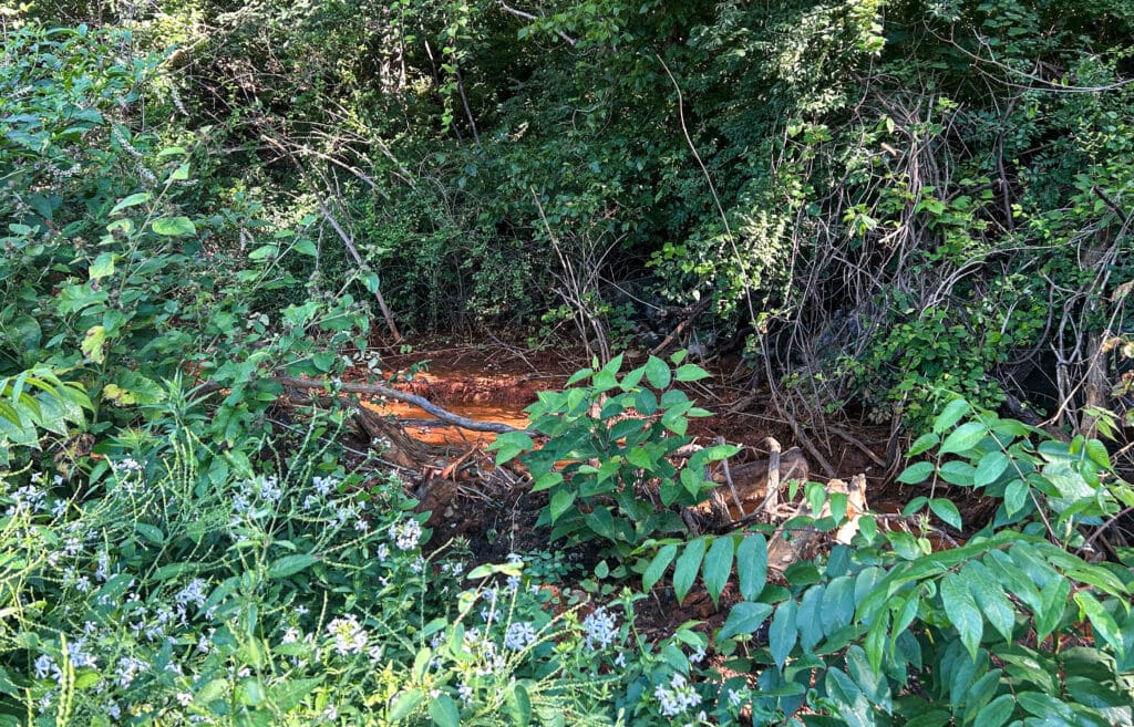 An orange pond.