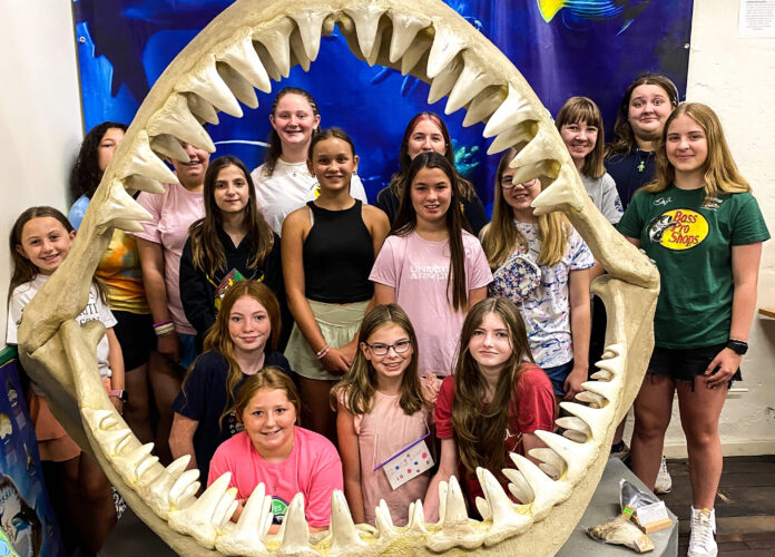 A giant set of jaws.