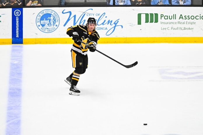 A hockey player.