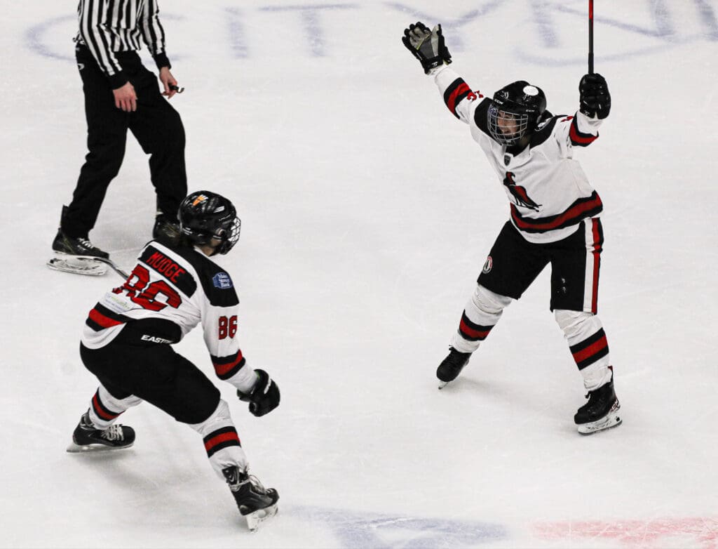 Two hockey players.