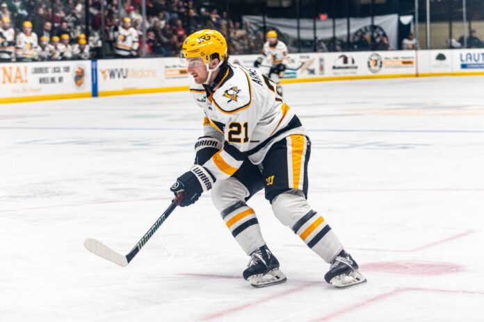 He is a hockey player.
