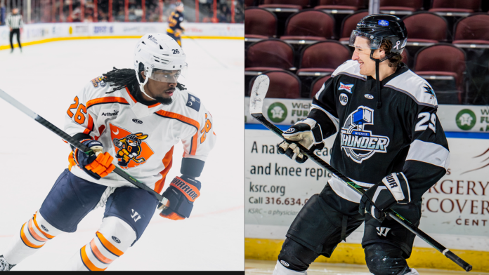 Two hockey players.
