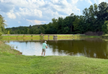 A pond.