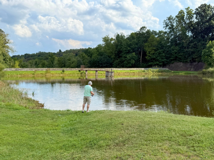 A pond.