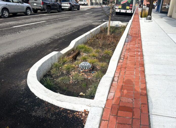 A bioswale.