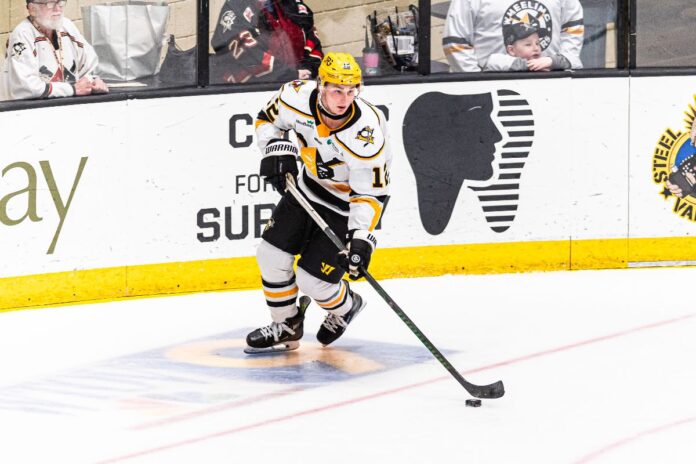 A hockey player.