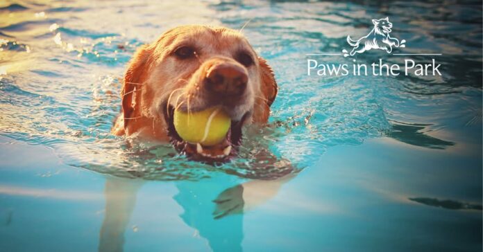 Paws in the Park