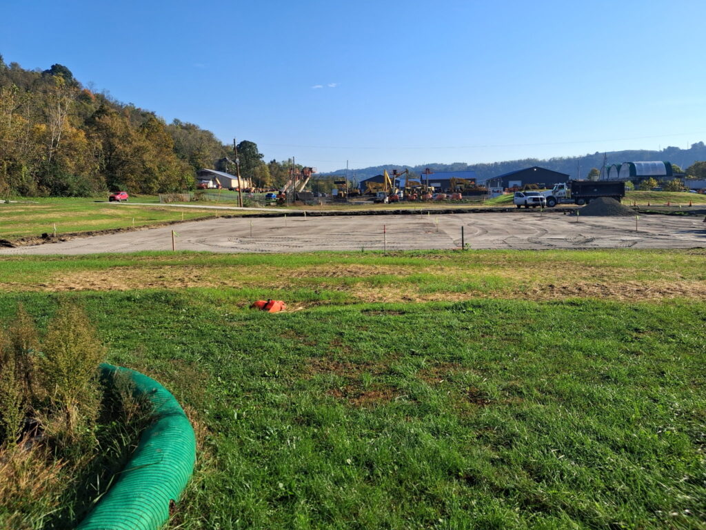 There is a lot of grass.