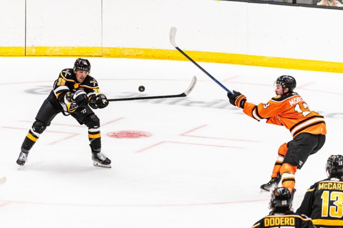A hockey game.